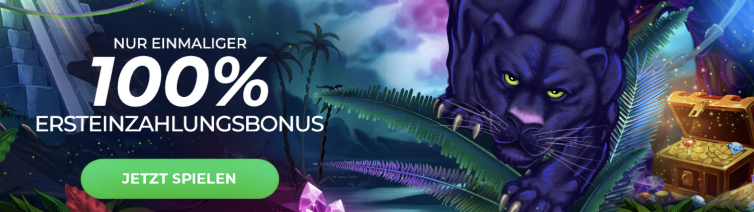 Promotional Banner